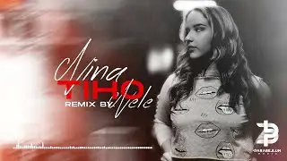 Nina Todorovic - Tiho (Official Remix)