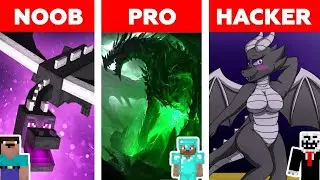 NOOB vs PRO vs HACKER fighting the ENDER DRAGON (Minecraft)