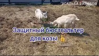 Бюстгалтер для козы👍👌