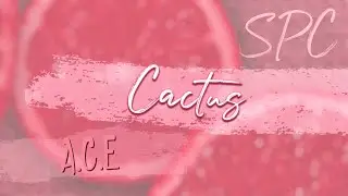 [SPC] A.C.E - CACTUS