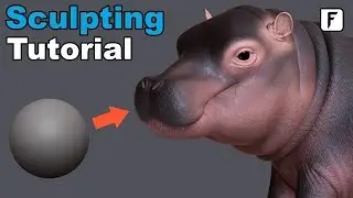 ZBrush Hippo Sculpting Tutorial - Follygon