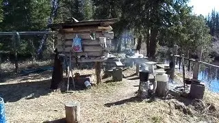 Лесная изба в глухой тайге. Forest hut in the deep taiga.