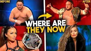 Every WWE Superstar released in 2022: Where are they now?