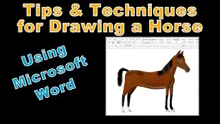 Tips for Drawing a Horse in Microsoft Word