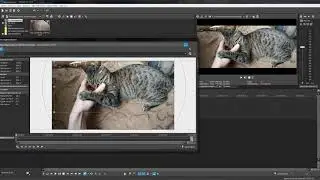 Sony Vegas Pro кадрирование или как обрезать видео