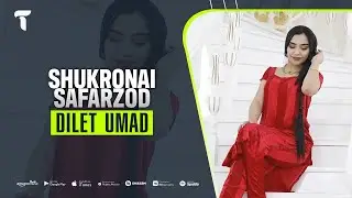 Шукронаи Сафарзод - Дилет умад | Shukronai Safarzod - Dilet umad (audio)
