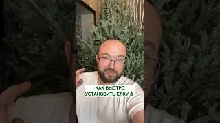 Как быстро установить Ёлку🎄