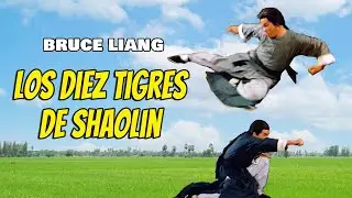 Wu Tang Collection - 10 Tigers of Shaolin - Los Diez Tigres de Shaolin