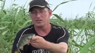 Ловля Окуня На Спиннинг Летом . Рыбное эльдорадо .