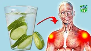 9 Health Benefits Of Cucumber Water – How Do I Prepare It