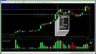 Trading Video Lesson - Free elite video w/ Investors Underground