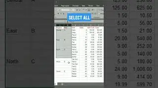 How to fill cell blanks in excel