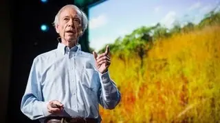 How to green the world's deserts and reverse climate change | Allan Savory