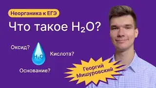 2.14. Чем в ТЭД является вода? | Неорганика к ЕГЭ | Георгий Мишуровский