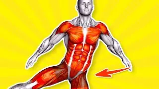 Unleash your Power: Dr. KEGEL's Secret Exercises for Men!