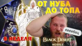 [Black Desert Mobile] Дневник: Chiki.Po / Восьмая неделя / От нуба до топа