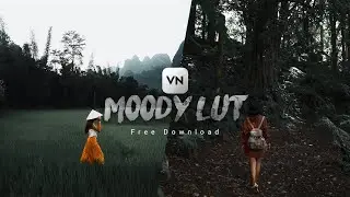 Moody LUT Free Download | VN VIDEO EDITOR | Premiere Pro