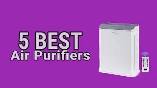 5 Best Air Purifiers in 2023