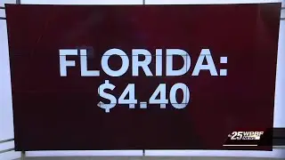 Florida, national average gas prices hit record highs