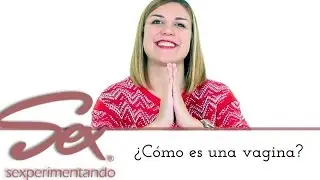 Cómo es una vagina por dentro? Te cuento cómo es la entrada vaginal, las paredes vaginales...