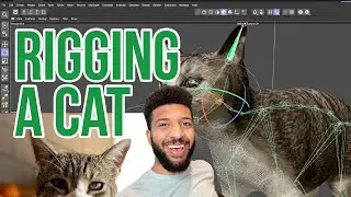 Rigging A Cat with Cinema 4d r25