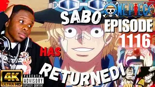 Sabo's Return & Buggy's Speech! | ONE PIECE EPISODE 1116 REACTION!