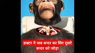 Monkey Head Transplant 🐒 (explained) बंदर का सिर प्रत्यारोपण|#shorts