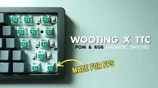 Movement Feels SO Good with These Switches! | Wooting x TTC KOM POM & RGB