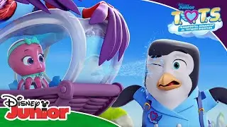 🐙 O livrare stropitoare | T.O.T.S. | Disney Junior România