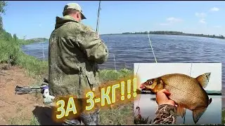 Крупный ЛЕЩ на ДОНКИ!  За 3 кг!!!