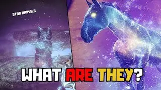 Destiny 2 Lore -  What Are The StarCats Theory