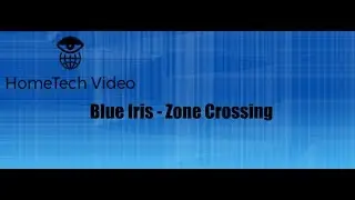 Blue Iris - Zone Crossing