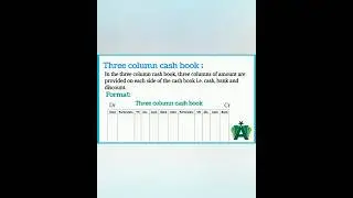 Three column cash book 