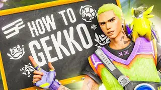 The ONLY Gekko guide you need to hit RADIANT… (September 2024)