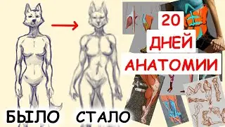 Научилась рисовать за 20 дней // Изучаю фурри анатомию 3 недели (в шоке от прогресса)