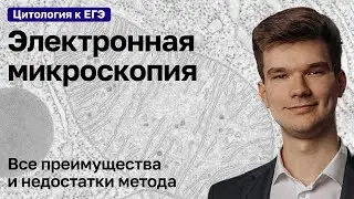 2.3. Электронная микроскопия | Цитология к ЕГЭ | Георгий Мишуровский