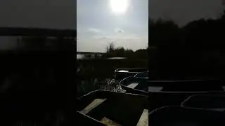 Зря прибыли! В красивейшем месте нельзя купаться! Это Пендиковское озеро в Лен.области. Дно илистое