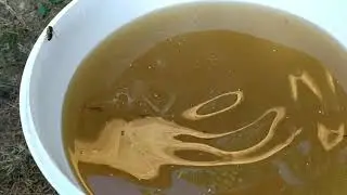 Як я готовлю сахарний сироп. Кормушки. Роздача сиропа