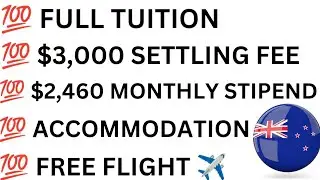 Study in NEW ZEALAND for Free |100% fully funded scholarship Scholarships  Undergraduate, Msc & PhD