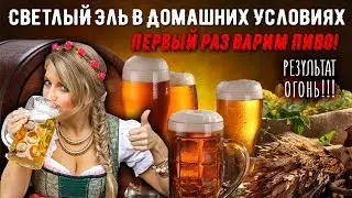 Светлый Эль. 20 литров пива в квартирных условиях!