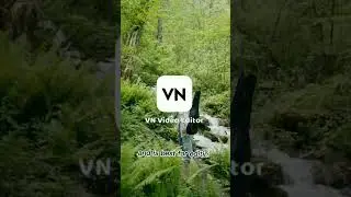 Free Professional Video Editor With No Watermark 🔴