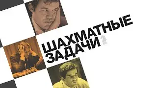 Шахматные задачи. Задача №3