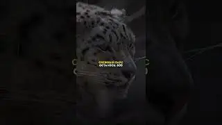 Множество видов животных находятся на грани исчезновения из-за различных факторов, включая потерю