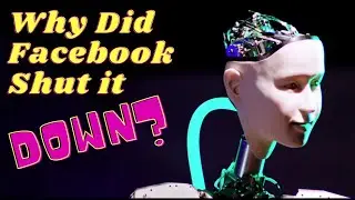 Facebook Panics As Robots Create Secret Language!