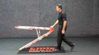 Little Giant SelectStep Ladder