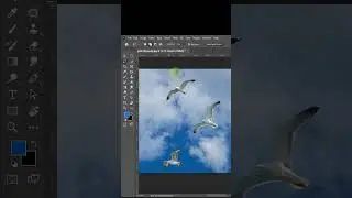How to remove multiple objects in photoshop 2023 | 