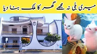 Meri billi Ne Mujhe ghar ka Malik bana diya 2023 vlog | میری بلی نہ مجھے گھر کا ملک بنا دیا