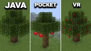 Java vs Pocket vs VR