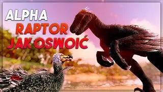 JAK OSWOIĆ ALFA RAPTORA? - Ark Survival Evolved Poradnik