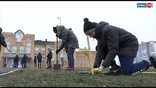 Аллея дружбы: Воронежский лесотехнический университет